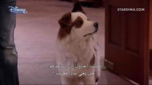 دوغ ويذ أيه بلوغ