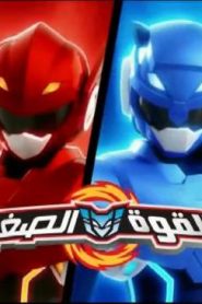 القوة الصغيرة